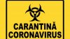 Cetăţenii din 22 de ţări care vor veni în Moldova vor trebui să stea autoizolaţi 14 zile