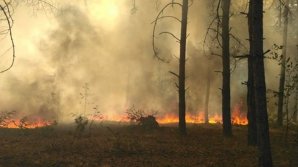 Alarmant! O pădure de lângă Cernobîl, în flăcări de patru zile. Ce spun Serviciile de Urgență din Ucraina despre nivelul de radioactivitate în zonă (VIDEO)