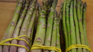 S-a copt sparanghelul moldovenesc. Un kilogram costă în jur de 100 de lei