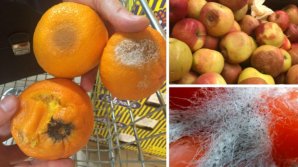 Administratorii magazinului unde erau expuse la vânzare produse alterate, amendați