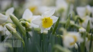 METEO 12 aprilie 2020: Cer variabil și soare în toată țara