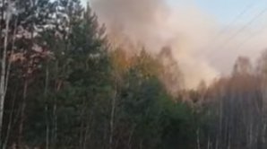 Incendiu devastator într-o pădure de lângă Cernobîl. Nivelul sporit de radiație în zonă (VIDEO) 