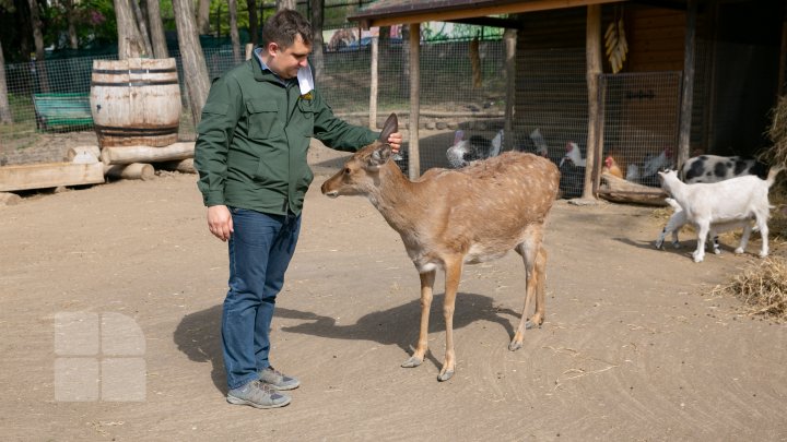 Grădina Zoologică din Capitală și-a redeschis ușile chiar de Ziua Copiilor (FOTOREPORT)