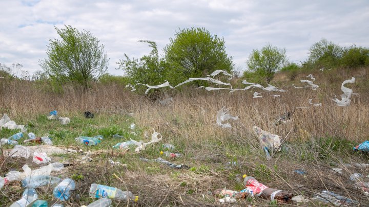 Dezastru ecologic la Trușeni. Oamenii aruncă deșeurile la trei gunoiști improvizate (FOTOREPORT)