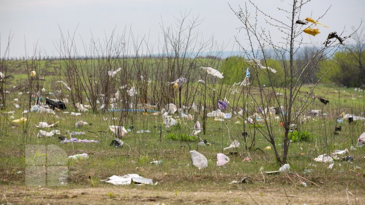 Dezastru ecologic la Trușeni. Oamenii aruncă deșeurile la trei gunoiști improvizate (FOTOREPORT)