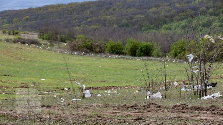 Dezastru ecologic la Trușeni. Oamenii aruncă deșeurile la trei gunoiști improvizate (FOTOREPORT)