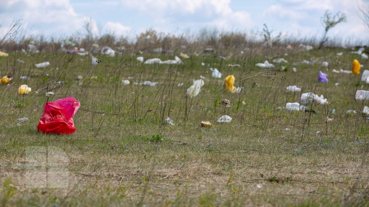 Dezastru ecologic la Trușeni. Oamenii aruncă deșeurile la trei gunoiști improvizate (FOTOREPORT)