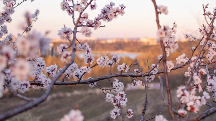 Cum va fi vremea în data de 16 aprilie și ce temperaturi ne așteaptă  