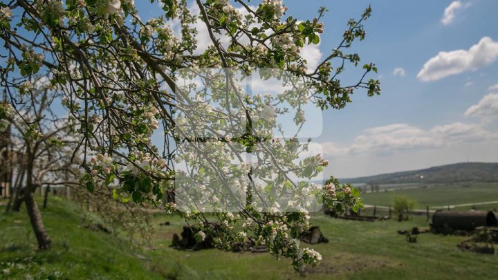 METEO. Ce temperaturi vom avea luni