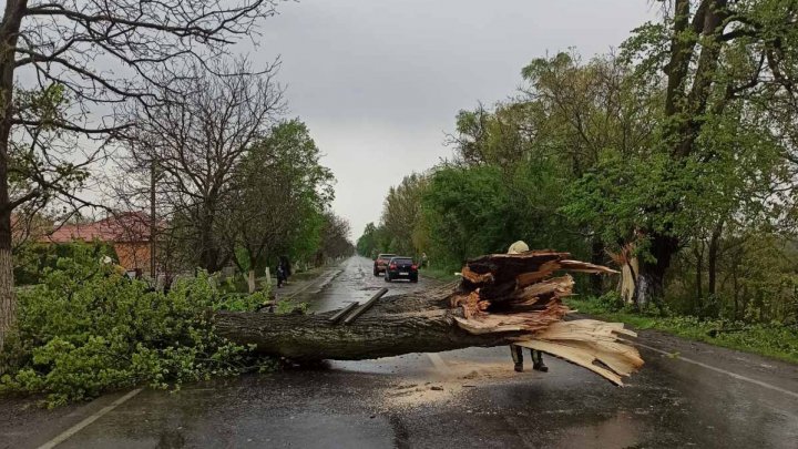 Localități fără lumină și acoperișuri distruse. Vântul puternic şi ploile abundente au făcut ravagii în Transcarpatia (VIDEO) 