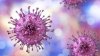 Studiu: Virusul herpes poate declanșa boala Alzheimer