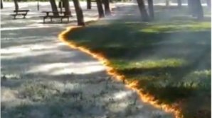 Imagini spectaculoase din Spania: Focul care curăţă puful plopilor depus pe iarbă (VIDEO)