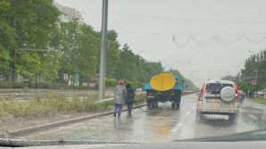 Imaginea zilei. Muncitorii de la Spații Verzi, surprinși udând florile pe timp de ploaie