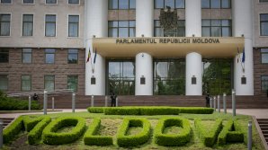 PARLAMENTUL, LA 29 DE ANI: Deputații actualei legislaturi au transmis mesaje de felicitare