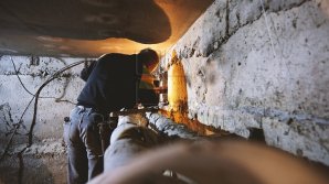 Fără şobolani în subsolurile din Chişinău. A început dezinsecția blocurilor din Capitală