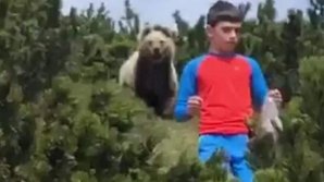 Momentul în care un copil scapă de un urs aflat la câțiva pași de el (VIDEO)