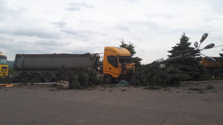 Impact violent pe centura de ocolire Orhei. Un camion a doborât mai mulți brazi și un stâlp de electricitate (FOTO)