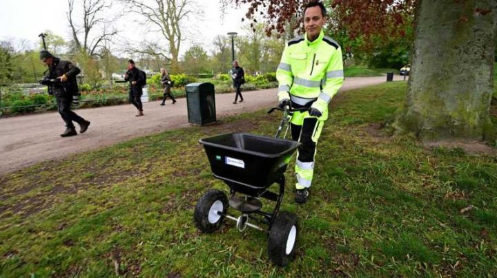 Măsură inedită! Un oraş din Suedia foloseşte excremente de pasăre pentru descurajarea adunărilor publice în parcul central