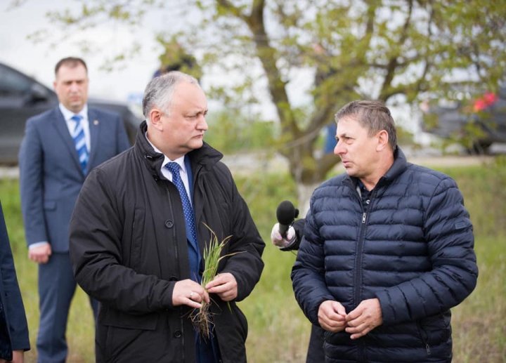 Igor Dodon: Securitatea alimentară a Republicii Moldova nu va fi afectată de secetă 