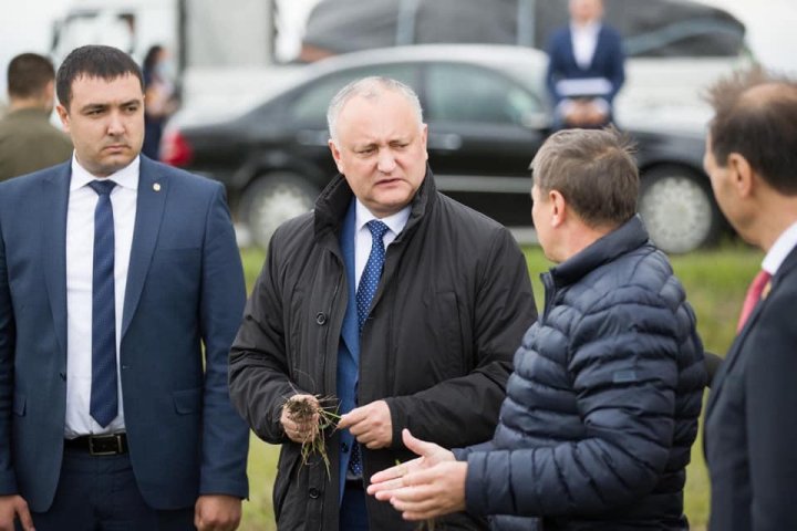 Igor Dodon: Securitatea alimentară a Republicii Moldova nu va fi afectată de secetă 