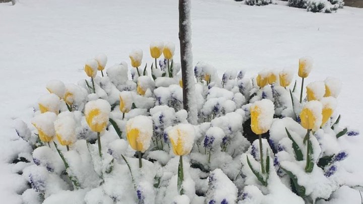 Europa de Est, acoperită de zăpadă (FOTO)