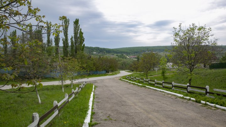 Tăieri de păduri cu nebădăi la Vatici, iar șefii întreprinderii silvice susțin că ar fi o eroare(FOTOREPORT)