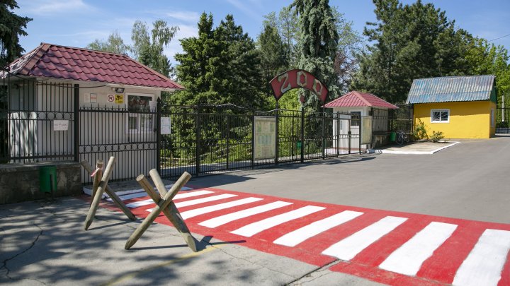 Casă nouă pentru animalele de la Grădina Zoologică din Capitală. Instalarea volierelor, pe ultima sută de metri (FOTOREPORT)