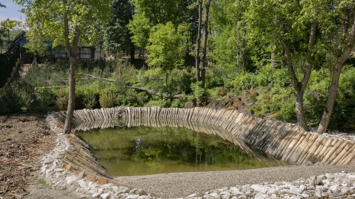 Casă nouă pentru animalele de la Grădina Zoologică din Capitală. Instalarea volierelor, pe ultima sută de metri (FOTOREPORT)