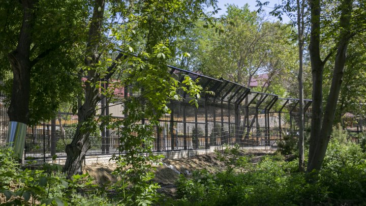 Casă nouă pentru animalele de la Grădina Zoologică din Capitală. Instalarea volierelor, pe ultima sută de metri (FOTOREPORT)