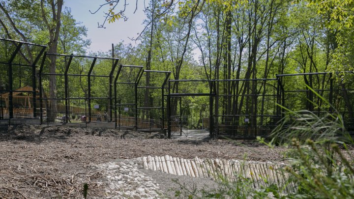 Casă nouă pentru animalele de la Grădina Zoologică din Capitală. Instalarea volierelor, pe ultima sută de metri (FOTOREPORT)