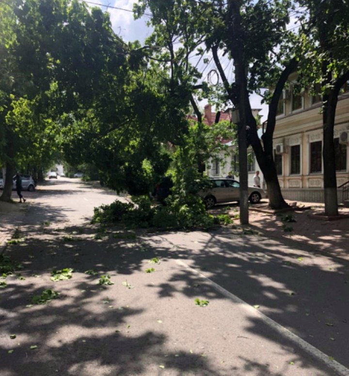 FURTUNA face RAVAGII. Crengi rupte de vânt în centrul Capitalei (FOTO)