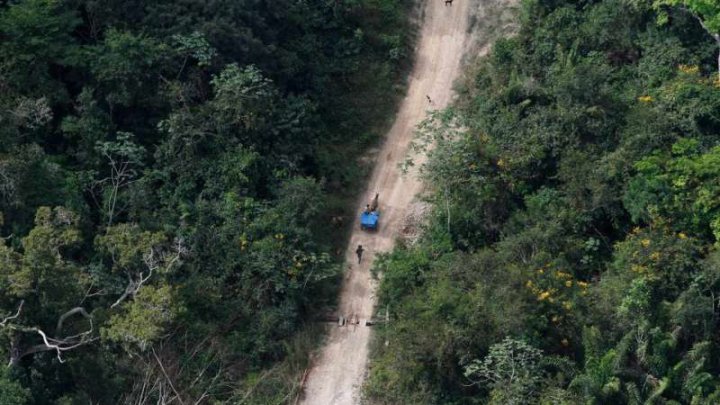 Brazilia: Aproape 8.500 de km2 din Pădurea Amazoniană au fost defrişate în 2020