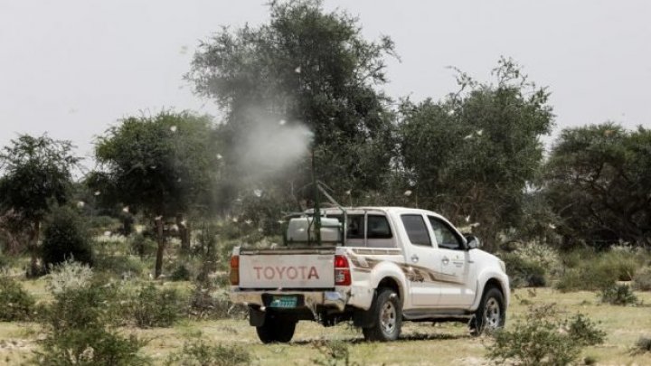 Un avion care transporta poduse pentru combaterea coronavirusului s-a prăbuşit luni în Somalia 