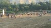 Plajele din Capitală sunt luate cu asalt de moldoveni, în plină pandemie (FOTO)