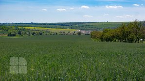 Vara şi-a intrat în drepturi. În această săptămână vom avea temperaturi caniculare