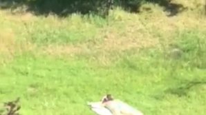 Fără inhibiţii! O domnişoară s-a bronzat chiar în curtea unui bloc din Capitală