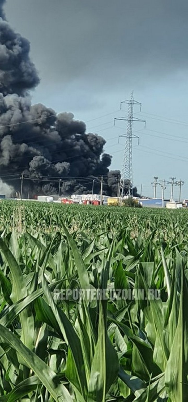 Incendiu violent la un depozit de materiale reciclabile din România. Norul de fum, vizibil de la câțiva kilometri distanță (VIDEO)