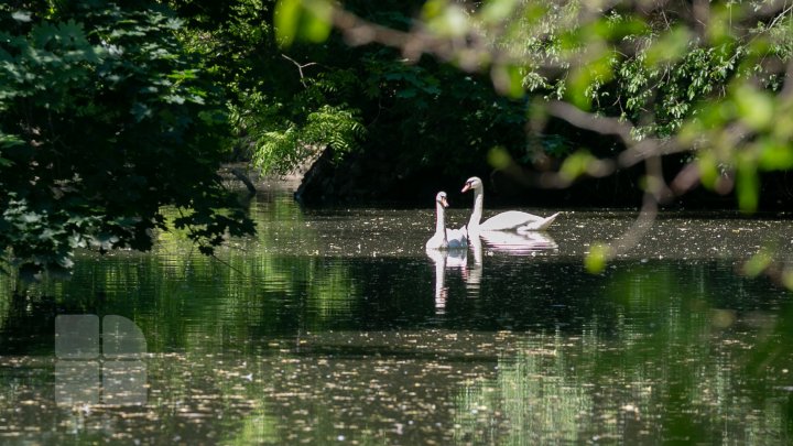 Grădina Zoologică din Capitală și-a redeschis ușile chiar de Ziua Copiilor (FOTOREPORT)