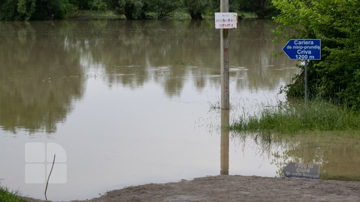 Situaţie TENSIONATĂ în nordul Moldovei. Mai mulţi gospodari din Criva şi Drepcăuți, evacuaţi din calea apelor (FOTOREPORT)