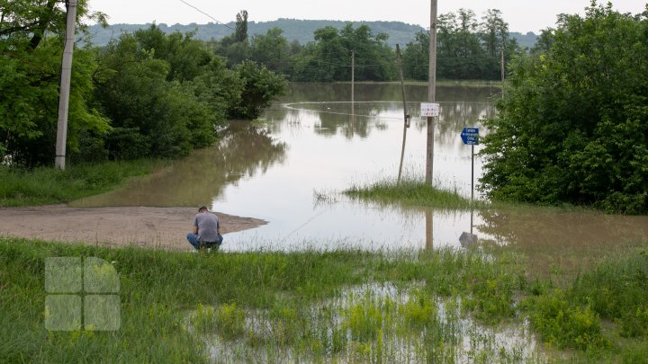 Situaţie TENSIONATĂ în nordul Moldovei. Mai mulţi gospodari din Criva şi Drepcăuți, evacuaţi din calea apelor (FOTOREPORT)