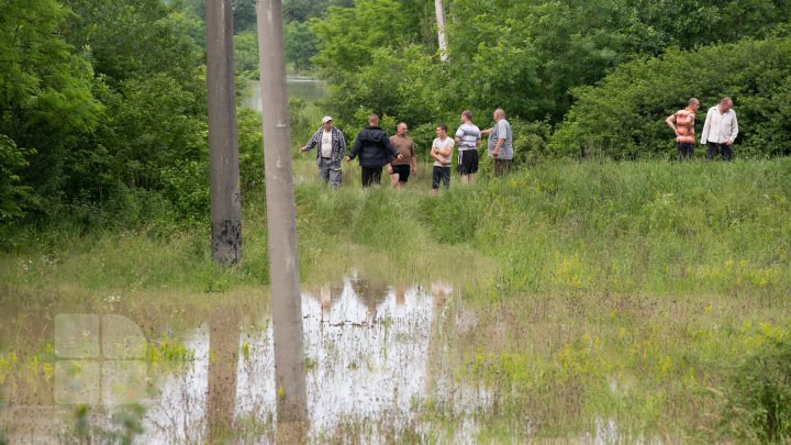 Situaţie TENSIONATĂ în nordul Moldovei. Mai mulţi gospodari din Criva şi Drepcăuți, evacuaţi din calea apelor (FOTOREPORT)