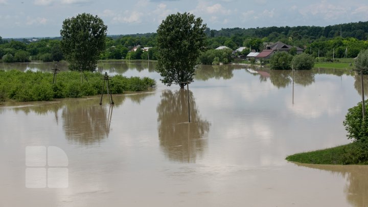 Situaţie TENSIONATĂ în nordul Moldovei. Mai mulţi gospodari din Criva şi Drepcăuți, evacuaţi din calea apelor (FOTOREPORT)