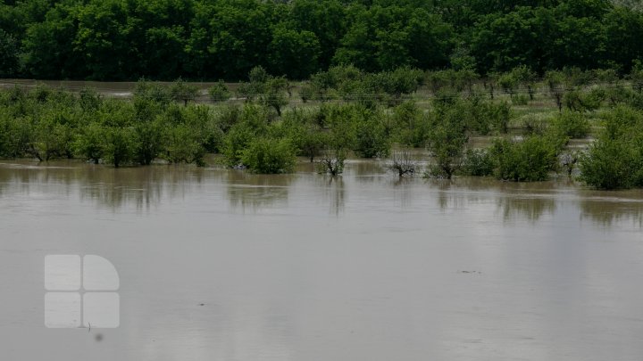 Situaţie TENSIONATĂ în nordul Moldovei. Mai mulţi gospodari din Criva şi Drepcăuți, evacuaţi din calea apelor (FOTOREPORT)