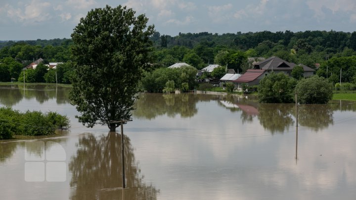 Situaţie TENSIONATĂ în nordul Moldovei. Mai mulţi gospodari din Criva şi Drepcăuți, evacuaţi din calea apelor (FOTOREPORT)