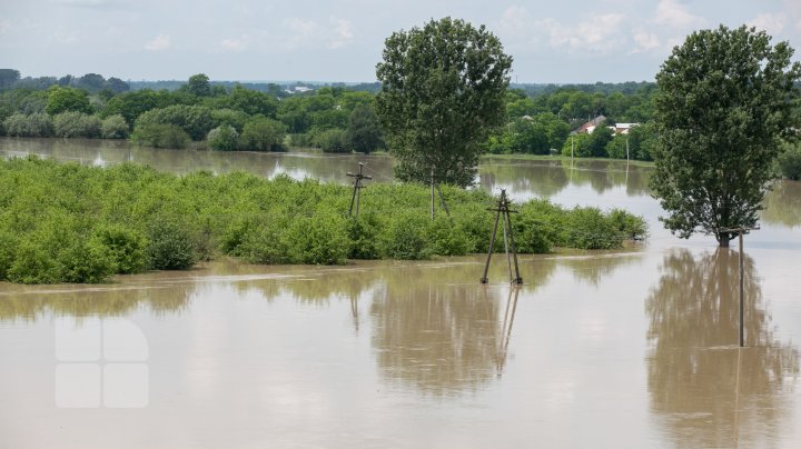 Situaţie TENSIONATĂ în nordul Moldovei. Mai mulţi gospodari din Criva şi Drepcăuți, evacuaţi din calea apelor (FOTOREPORT)