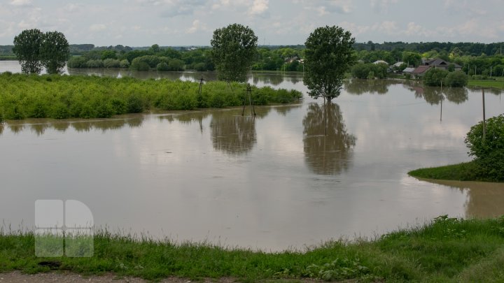 Situaţie TENSIONATĂ în nordul Moldovei. Mai mulţi gospodari din Criva şi Drepcăuți, evacuaţi din calea apelor (FOTOREPORT)