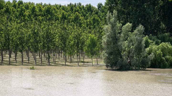 Situaţie TENSIONATĂ în nordul Moldovei. Mai mulţi gospodari din Criva şi Drepcăuți, evacuaţi din calea apelor (FOTOREPORT)