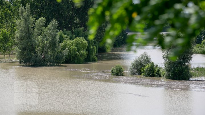 Situaţie TENSIONATĂ în nordul Moldovei. Mai mulţi gospodari din Criva şi Drepcăuți, evacuaţi din calea apelor (FOTOREPORT)