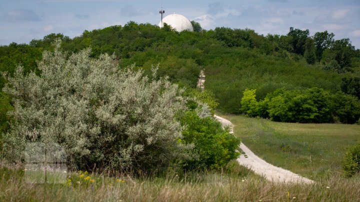 Construcţie neobişnuită la Ungheni. Cândva punct strategic de monitorizare a avioanelor, acum un loc părăsit (FOTOREPORT)