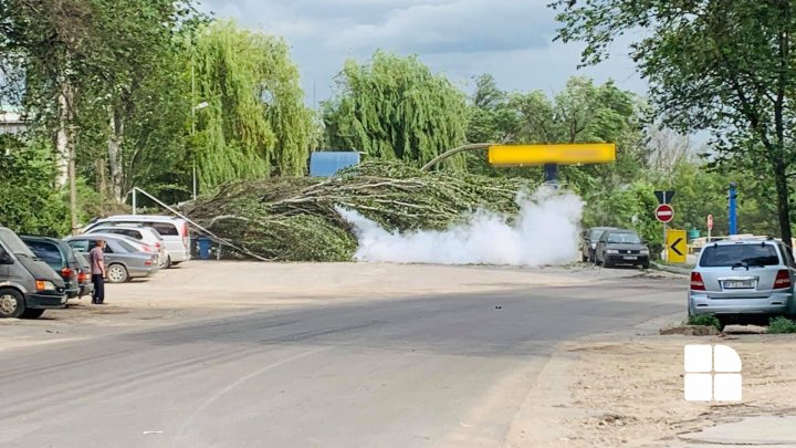 Pericol de incendiu în Capitală. Scurgere de gaze după ce un copac a căzut peste o cisternă (VIDEO)